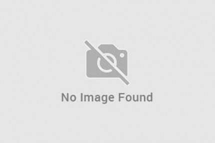 no-image-found no-image-found